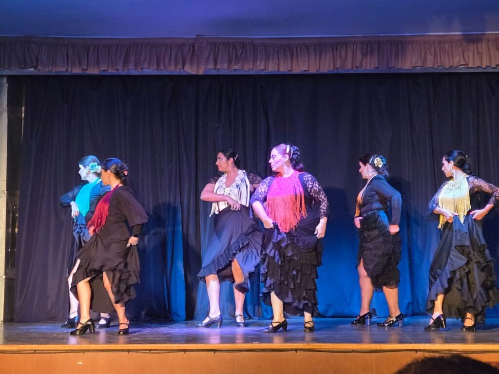 Ballet institucional La Estarda